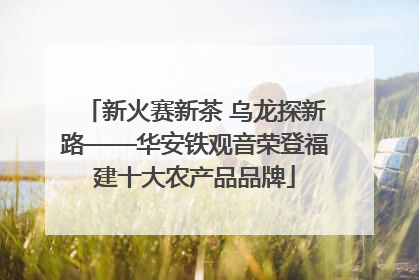 新火赛新茶 乌龙探新路——华安铁观音荣登福建十大农产品品牌