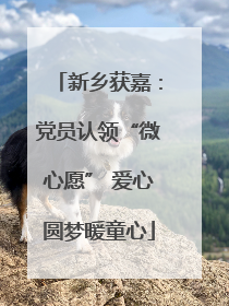 新乡获嘉：党员认领“微心愿” 爱心圆梦暖童心