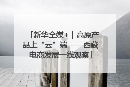 新华全媒+｜高原产品上“云”端——西藏电商发展一线观察