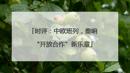 时评：中欧班列，奏响“开放合作”新乐章