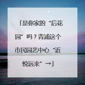 是你家的“后花园”吗？青浦这个市民园艺中心“近悦远来”→