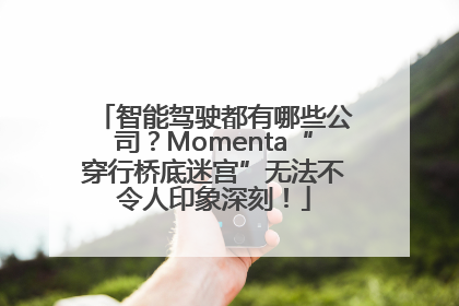智能驾驶都有哪些公司？Momenta“穿行桥底迷宫”无法不令人印象深刻！