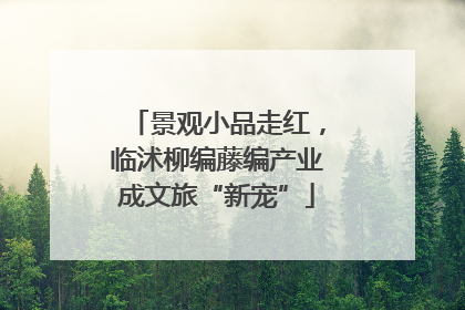 景观小品走红，临沭柳编藤编产业成文旅“新宠”