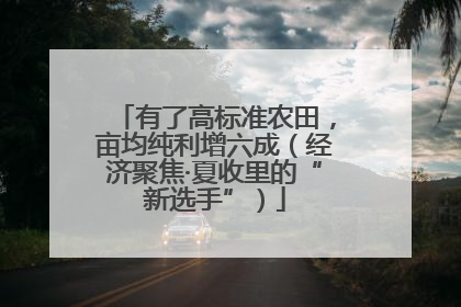 有了高标准农田，亩均纯利增六成（经济聚焦·夏收里的“新选手”）
