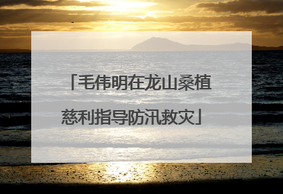 毛伟明在龙山桑植慈利指导防汛救灾
