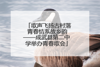 歌声飞扬古村落 青春情系故乡韵——成武县第二中学举办青春歌会