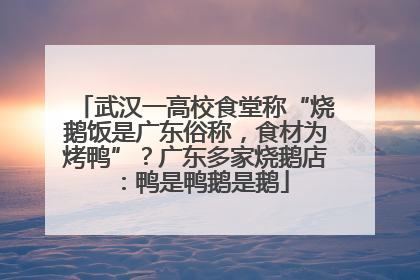 武汉一高校食堂称“烧鹅饭是广东俗称，食材为烤鸭”？广东多家烧鹅店：鸭是鸭鹅是鹅