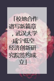 校地合作谱写新篇章，武汉大学·咸宁低空经济创新研究院签约成立