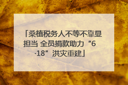 桑植税务人不等不靠显担当 全员捐款助力“6·18”洪灾重建