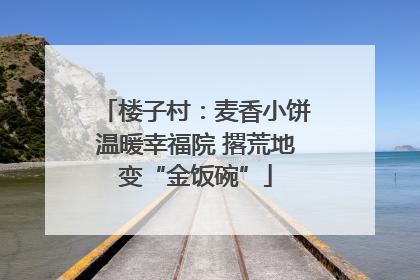 楼子村：麦香小饼温暖幸福院 撂荒地变“金饭碗”