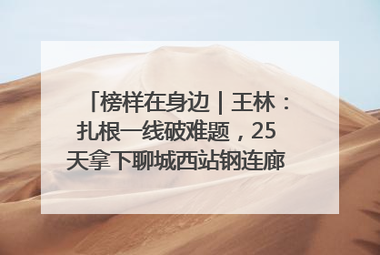 榜样在身边｜王林：扎根一线破难题，25天拿下聊城西站钢连廊“硬核”工程