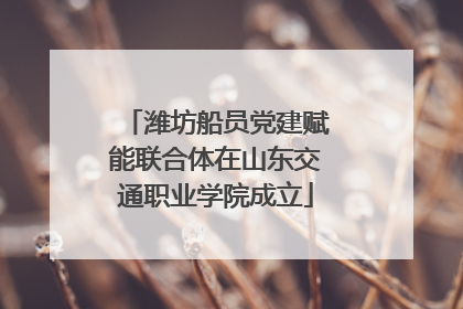 潍坊船员党建赋能联合体在山东交通职业学院成立