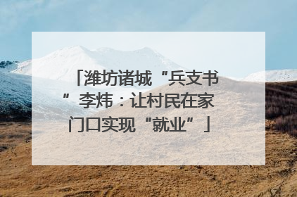 潍坊诸城“兵支书”李炜：让村民在家门口实现“就业”