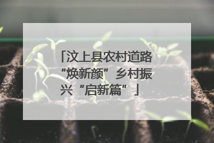 汶上县农村道路“焕新颜”乡村振兴“启新篇”