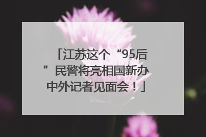 江苏这个“95后”民警将亮相国新办中外记者见面会！