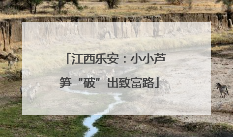 江西乐安：小小芦笋“破”出致富路