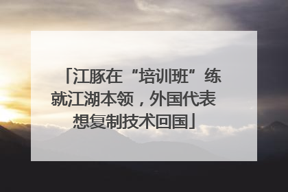 江豚在“培训班”练就江湖本领，外国代表想复制技术回国