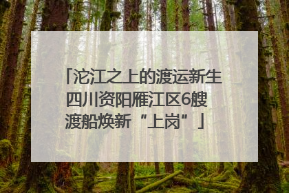 沱江之上的渡运新生 四川资阳雁江区6艘渡船焕新“上岗”