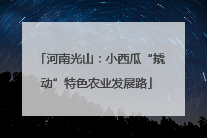 河南光山：小西瓜“撬动”特色农业发展路