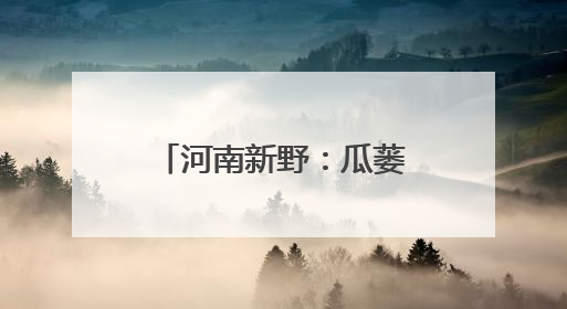 河南新野：瓜蒌藤蔓展新绿，产业振兴正当时