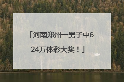 河南郑州一男子中624万体彩大奖！
