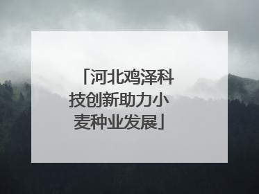 河北鸡泽科技创新助力小麦种业发展