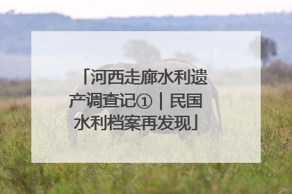 河西走廊水利遗产调查记①｜民国水利档案再发现