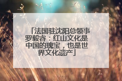 法国驻沈阳总领事罗毅睿：红山文化是中国的瑰宝，也是世界文化遗产