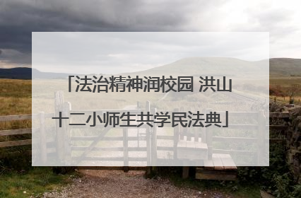 法治精神润校园 洪山十二小师生共学民法典