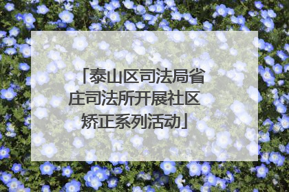 泰山区司法局省庄司法所开展社区矫正系列活动