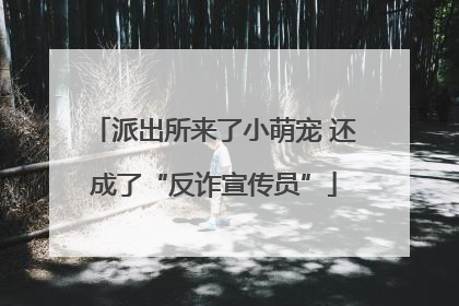 派出所来了小萌宠 还成了“反诈宣传员”