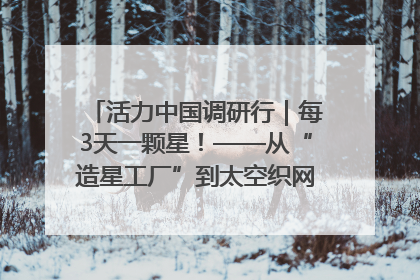 活力中国调研行｜每3天一颗星！——从“造星工厂”到太空织网的“银河速度”