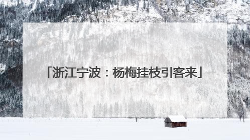 浙江宁波：杨梅挂枝引客来