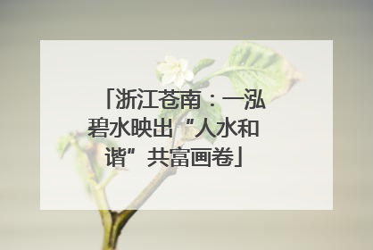 浙江苍南：一泓碧水映出“人水和谐”共富画卷