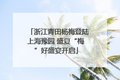 浙江青田杨梅登陆上海豫园 盛夏“梅”好盛宴开启