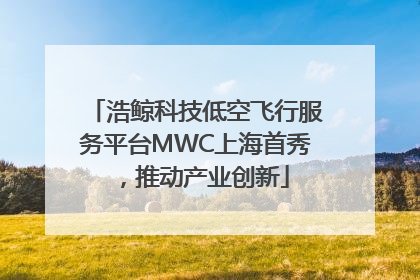 浩鲸科技低空飞行服务平台MWC上海首秀，推动产业创新