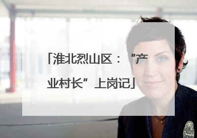 淮北烈山区：“产业村长”上岗记