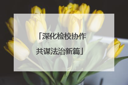 深化检校协作 共谋法治新篇