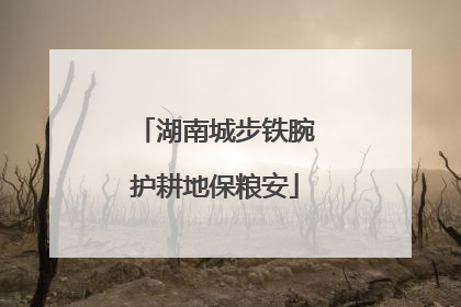 湖南城步铁腕护耕地保粮安