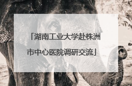 湖南工业大学赴株洲市中心医院调研交流