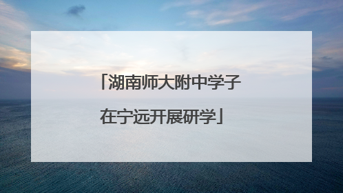 湖南师大附中学子在宁远开展研学