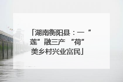 湖南衡阳县：一“莲”融三产 “荷”美乡村兴业富民