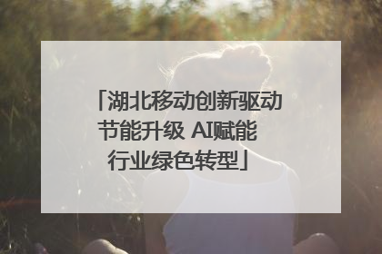 湖北移动创新驱动节能升级 AI赋能行业绿色转型