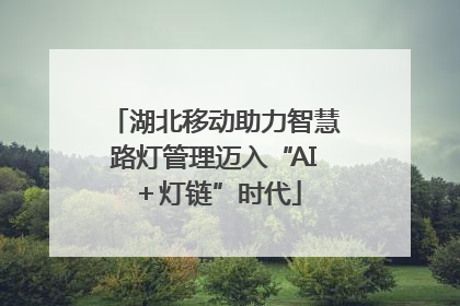 湖北移动助力智慧路灯管理迈入“AI＋灯链”时代
