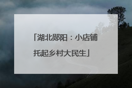 湖北郧阳：小店铺托起乡村大民生
