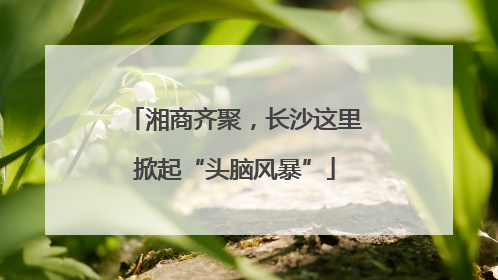 湘商齐聚，长沙这里掀起“头脑风暴”