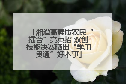 湘潭高素质农民“擂台”亮真招 双创技能决赛晒出“学用贯通”好本事
