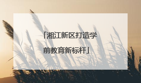 湘江新区打造学前教育新标杆