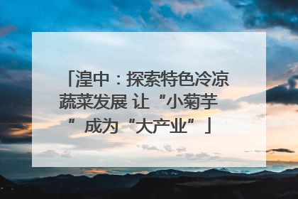 湟中：探索特色冷凉蔬菜发展 让“小菊芋”成为“大产业”