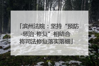 滨州法院：坚持“预防-惩治-修复”相结合 将司法修复落实落细